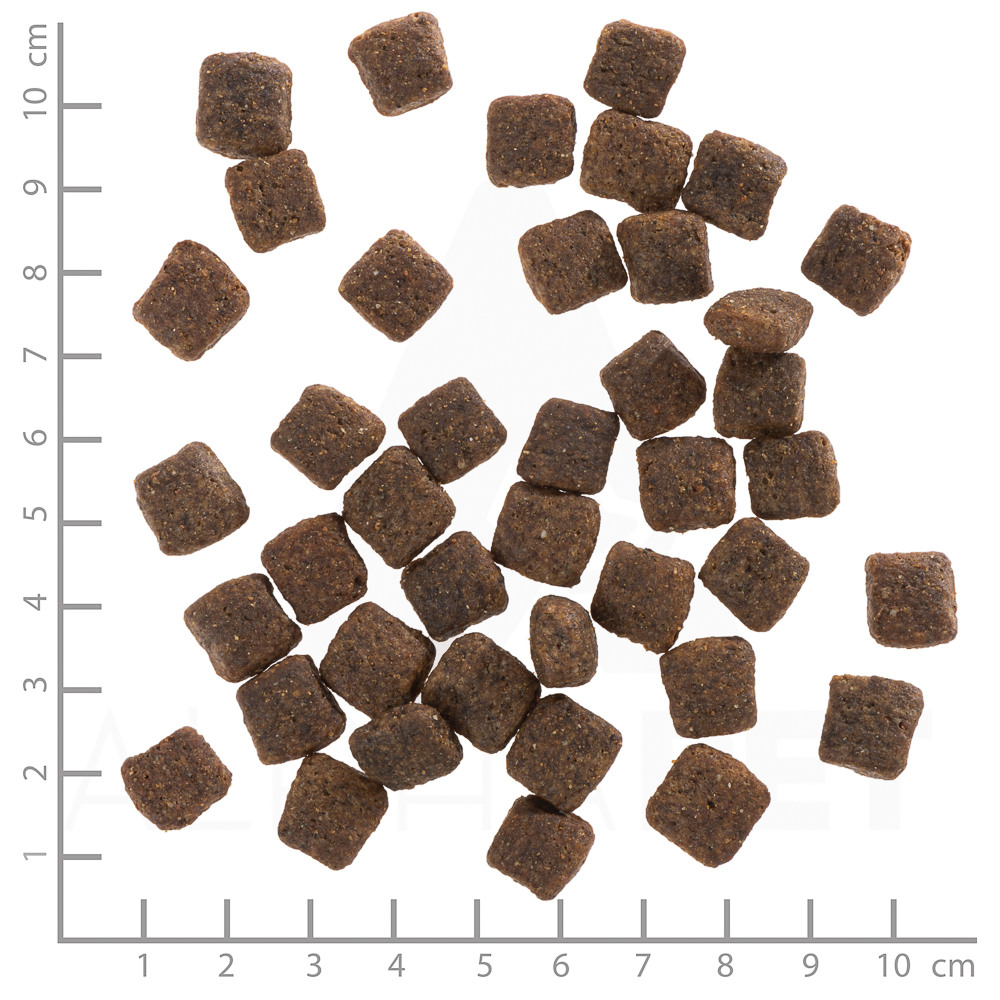 Wolfsblut Dog Grey Peak Senior - koza i bataty 12,5kg - obrazek 2