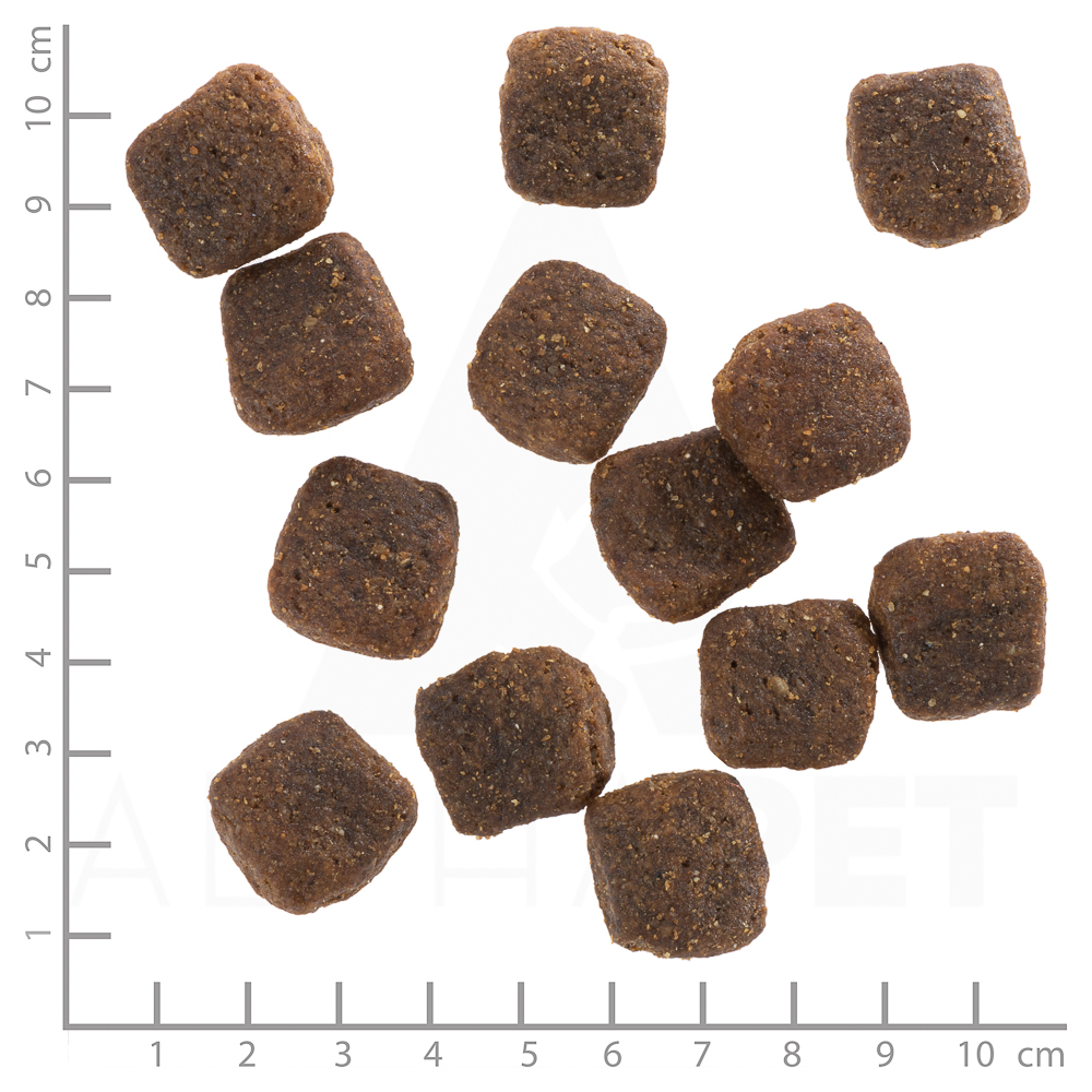 Wolfsblut Dog Wild Duck Large - kaczka i ziemniaki 12,5kg - obrazek 3