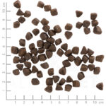 Wolfsblut Dog Cold River Small - pstrąg i bataty 2kg - obrazek 3