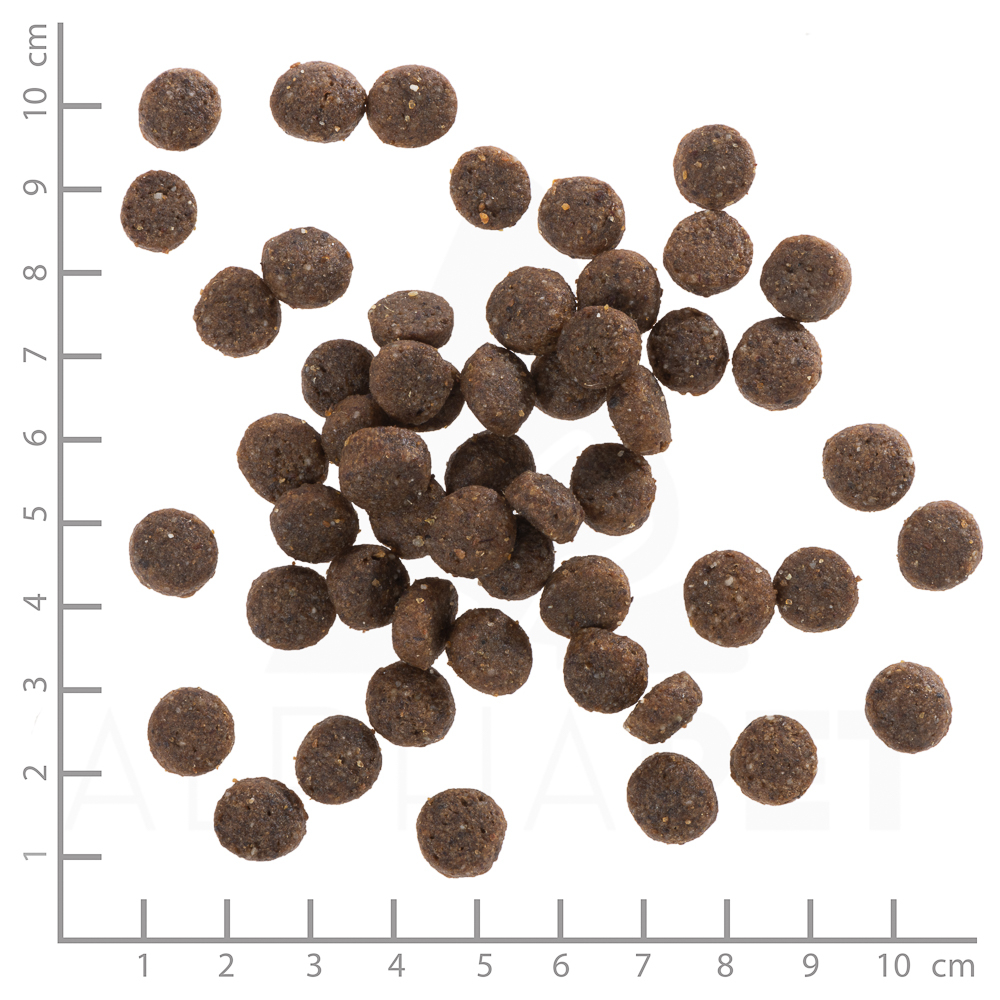 Wolfsblut Dog Range Lamb Puppy - jagnięcina i ryż 2kg - obrazek 4