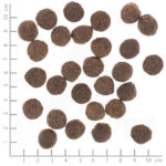 Wolfsblut Dog VetLine Renal - kurczak i bataty 2kg - obrazek 2