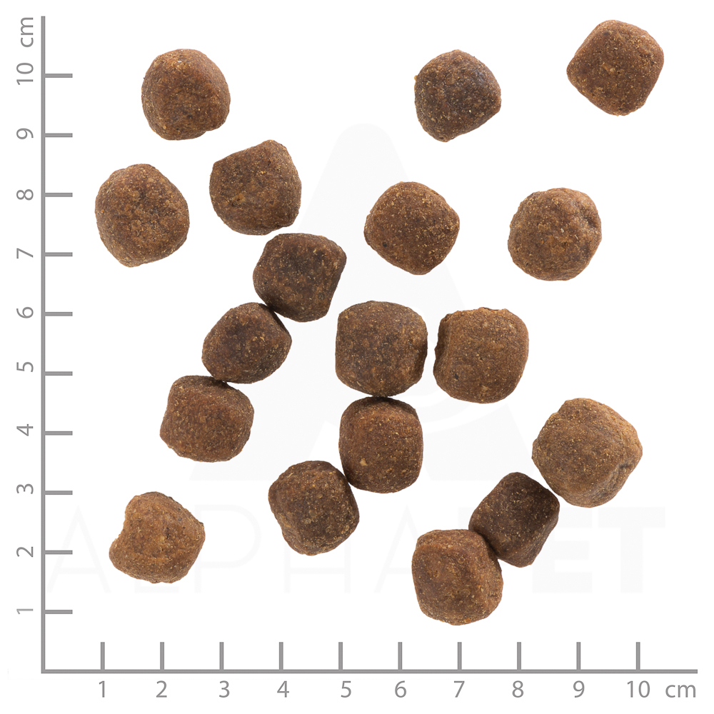 Wolfsblut Dog Wild Duck - kaczka i ziemniaki 12,5kg - obrazek 3