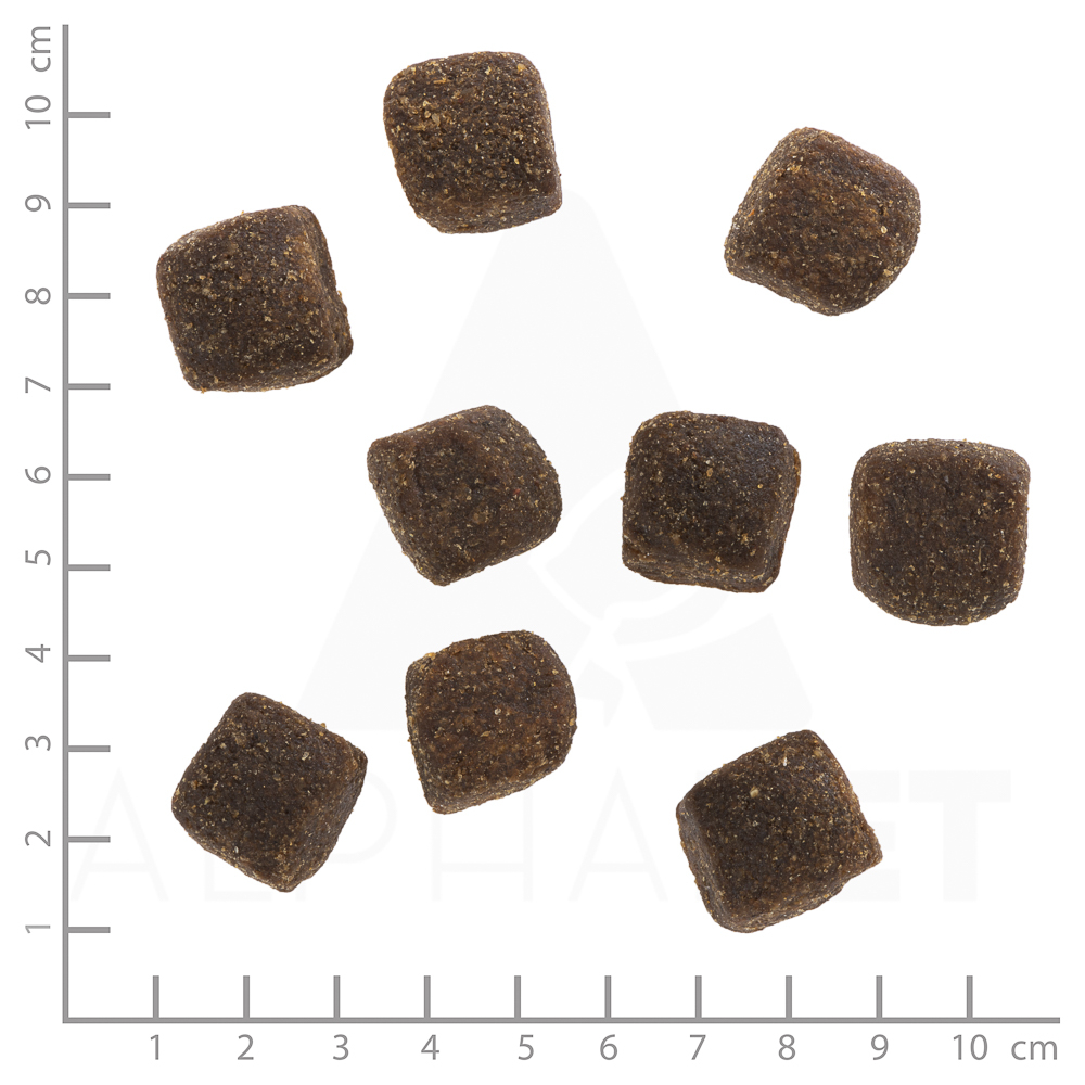 Wolfsblut Dog Squashies Wide Plain Large Breed - konina i bataty 300g - obrazek 2