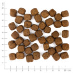 Wolfsblut Dog Limited Ingredients Wild Duck - kaczka i ziemniaki 9kg - obrazek 4