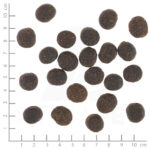 Wolfsblut Dog VetLine Joint Care - indyk i bataty 12kg - obrazek 2